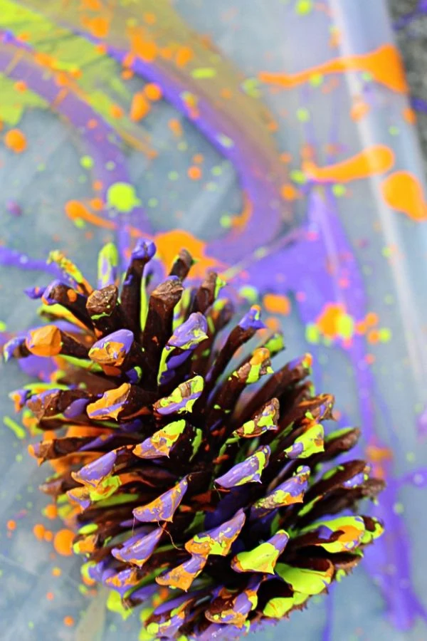 1 painted pine cone in rainbow colors.